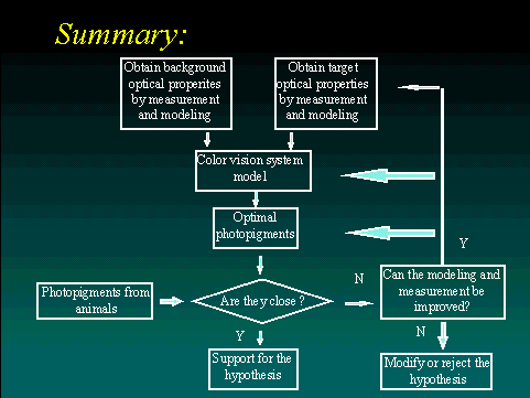 VP Model Screen Shot